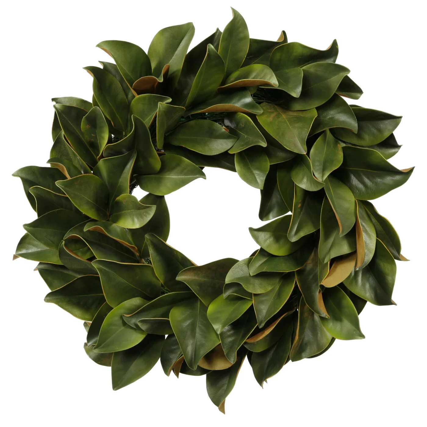 24" Magnolia Leaf Wreath